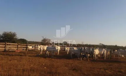 Fazenda à venda na Fazenda Paredão - Núcleo Fazenda, Zona Rural, General Carneiro