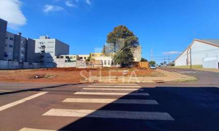 Ótimo oportunidade de Terrenos no Bairro Alto Alegre em Cascavel.