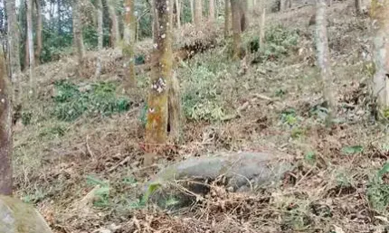 Terreno em Terra Preta a 5min da pista! Financia! Permuta! R$230.000,00!