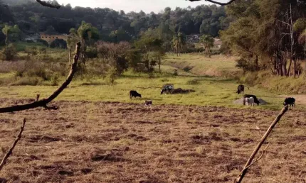 Terreno escriturado, amplo, com boa topografia e bem localizado em Atibaia!