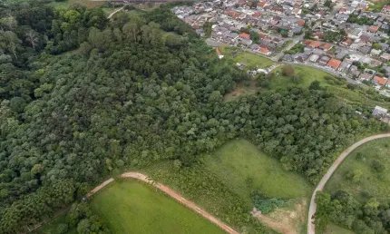 Terreno à venda na Rua Antônio Capellari, Colônia Antônio Prado, Colombo