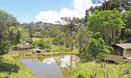 Fazenda à venda, 2651420 m² por R$ 26.600.000 - Taquari - Campina Grande do Sul/PR