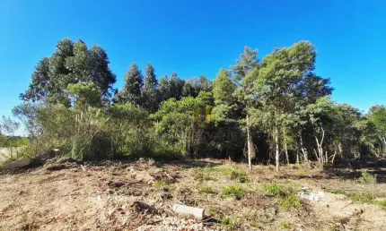 Terreno à venda, 3611 m² por R$ 500.000,00 - Parque do Embu - Colombo/PR