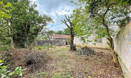 Terreno à venda, 444 m² por r$ 999.000,00 - centro - pinhais/pr