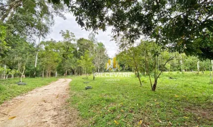 Área à venda, 187800 m² por R$ 4.800.000,00 - Cerro Azul - Cerro Azul/PR