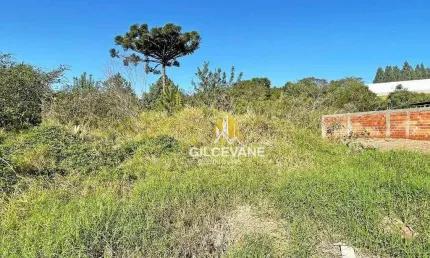 Terreno à venda, 649 m² por R$ 350.000,00 - Paloma - Colombo/PR