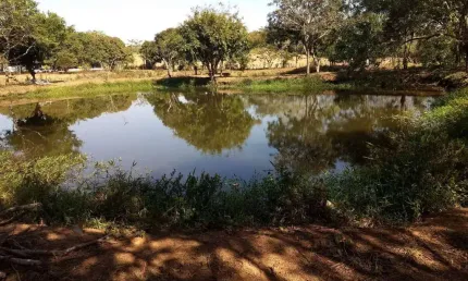 Cácara á venda/permuta de 6 mil m², em Artur Nogueira-SP
