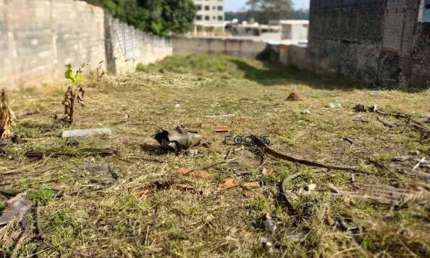 Terreno à venda, 980 m² por R$ 1.235.000 - Colônia - Jundiaí/SP - Focus Gestão Imobiliária