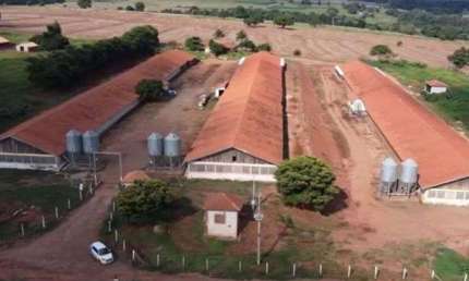 Fazenda à venda na Rodovia Benedito Manuel Da Silva, 290, Zona Rural, Ângulo