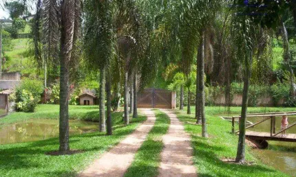 Chácara com 3 dormitórios à venda, 8230 m² por r$ 3.500.000,00 - dois córregos - valinhos/sp