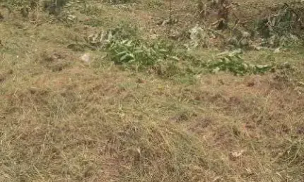 Terreno à venda, 400 m² por R$ 350.000,00 - Parque Ortolândia - Hortolândia/SP