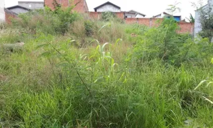 Terreno à venda, jardim dos manacás - piracicaba/sp