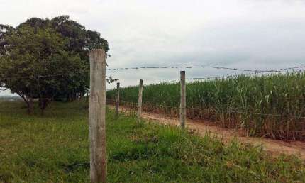 Sítio / Fazenda à venda, Canal Torto - Piracicaba/SP