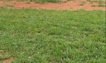 Terreno em condomínio à venda, taquaral - piracicaba/sp