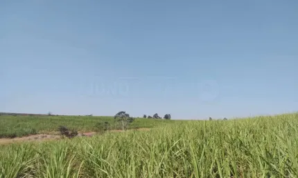 Área à venda, área rural de rio das pedras - rio das pedras/sp