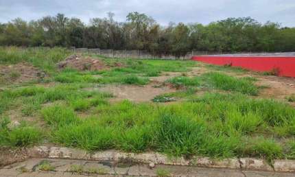 Terreno à venda, Loteamento Industrial Palmeiras - Rio das Pedras/SP