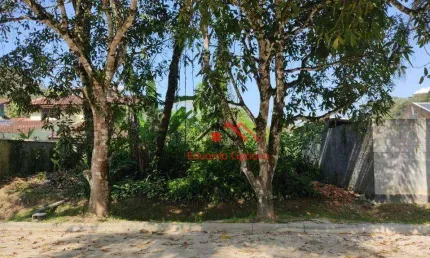 Terreno à venda, 360 m² por R$ 250.000,00 - Massaguaçu - Caraguatatuba/SP