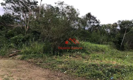 Terreno à venda, 372 m² por R$ 250.000,00 - Massaguaçu - Caraguatatuba/SP