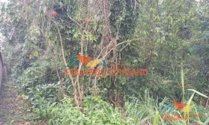 Terreno à venda, 360 m² por r$ 240.000,00 - massaguaçu - caraguatatuba/sp