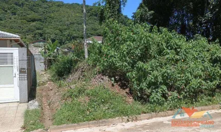 Terreno à venda, 774 m² por R$ 600.000,00 - Verde Mar - Caraguatatuba/SP