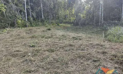 Terreno à venda, 360 m² por R$ 160.000,00 - Massaguaçu - Caraguatatuba/SP