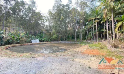 Terreno à venda, 5300 m² por r$ 260.000,00 - espírito santo - paraibuna/sp