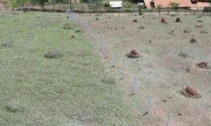 Terreno à venda, 2000 m² por R$ 140.000,00 - Zona Rural - Paraibuna/SP