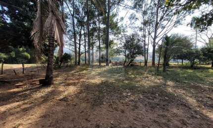 Fazenda à venda na Av. Brasil, Centro, São Pedro