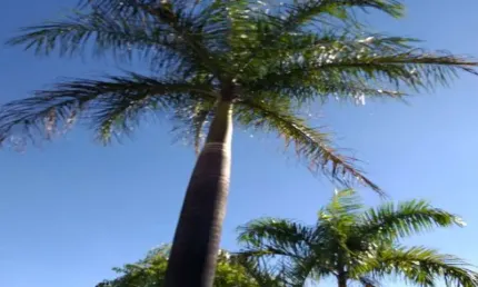 Terreno à venda na Rua José Joaquim dos Santos, Copacabana, Belo Horizonte por R$ 475.000