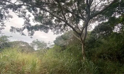 Terreno à venda na Ferradura, Armação dos Búzios 