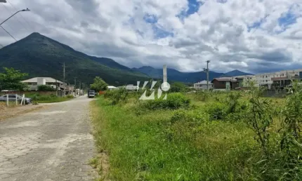 Terreno à venda na Rua Luiza Amaro da Silva, 1, Guarda do Cubatão, Palhoça