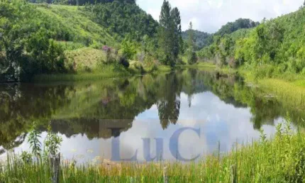 Fazenda à venda no Centro, Iguape 