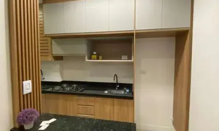 Apartamento com 2 dormitórios à venda, 41 m² por r$ 239.000 - jardim brasil - sã
