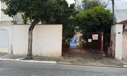 Terreno à venda, 315 m² por R$ 850.000,00 - Vila Constança - São Paulo/SP