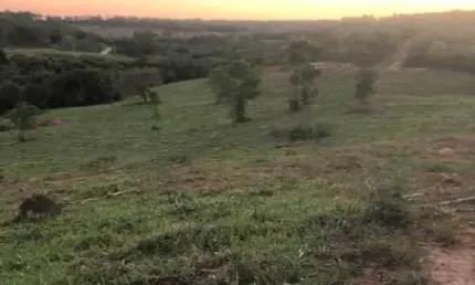 Terreno à venda no Ribeirão do Cervo, Cláudio 