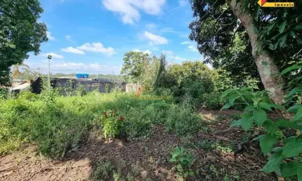 Terreno à venda no Padre Eustáquio, Divinópolis 