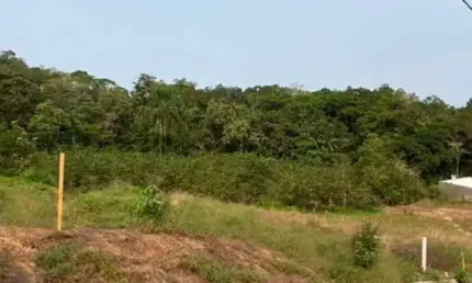 Terreno à venda no Pomerania, Guabiruba 