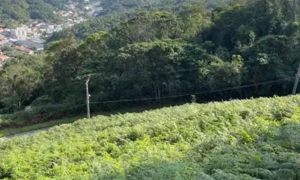 Terreno à venda no Primeiro de Maio, Brusque 