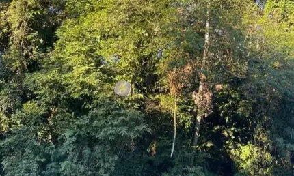 Terreno à venda no Zantão, Brusque 