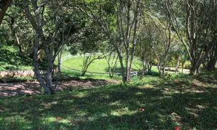 LINDO HARAS EM SÃO ROQUE COM EXCELENTE LOCALIZAÇÃO COM 4 ALQUEIRES