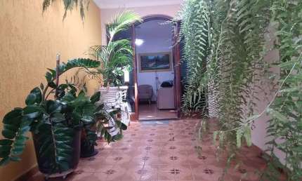 Casa térrea com 3 dormitórios e 3 vagas cobertas - Vila Ema