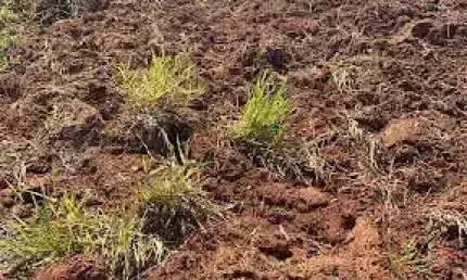 Terreno à venda, 1596 m² por r$ 1.353.410,00 - condomínio empresarial panamericano - sorocaba/sp