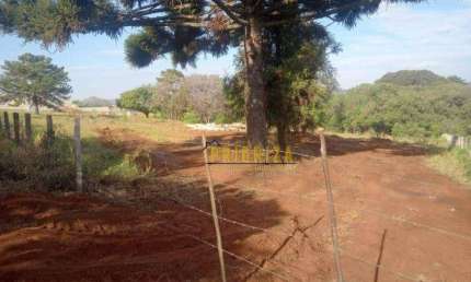 OPORTUNIDADE! Terreno à venda, 18000 m² por R$ 760.000 - Jucurupava - Salto de Pirapora/SP