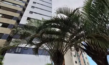 Apartamento para Venda em Salvador, Canela, 2 dormitórios, 1 suíte, 2 vagas