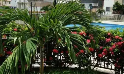 Apartamento para Venda em Salvador, Jardim das Margaridas, 2 dormitórios, 1 suíte, 2 banheiros, 1 vaga