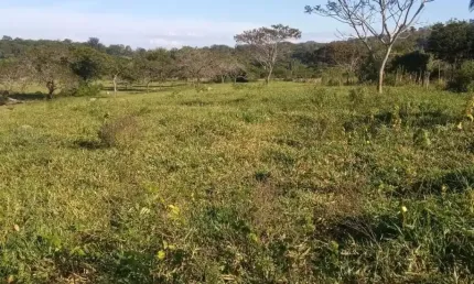 Fazenda à venda no Água Limpa, Cachoeira da Prata 