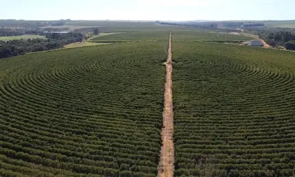 Fazenda à venda na Zona Rural, Unaí 