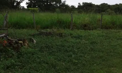 Fazenda à venda na Zona Rural, Bonito de Minas 