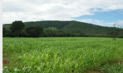 Fazenda à venda na Zona Rural, Curvelo 