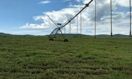 Fazenda à venda na Zona Rural, Manga 